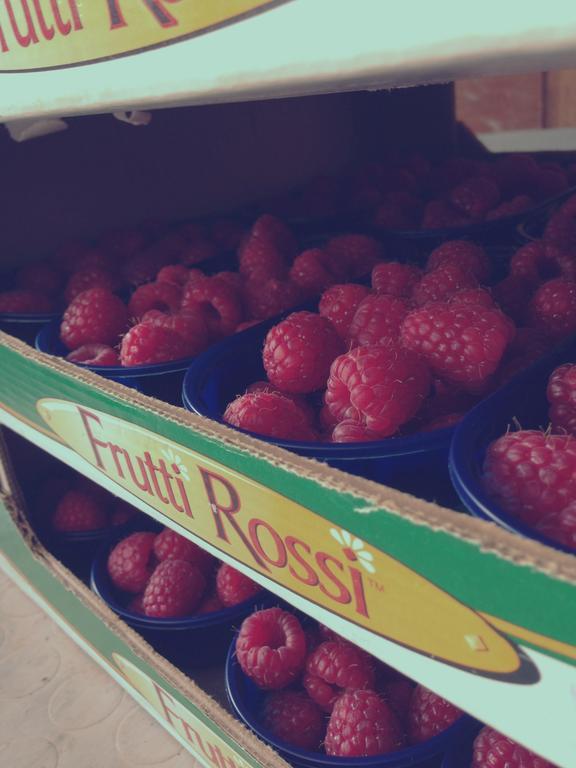 Agriturismo Fruttirossi Trofarello Екстер'єр фото